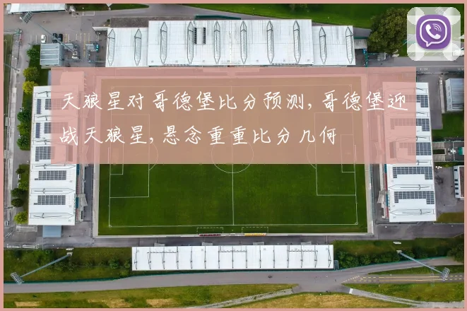 天狼星对哥德堡比分预测,哥德堡迎战天狼星,悬念重重比分几何