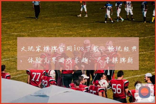 大玩家棋牌官网ios下载，畅玩经典，体验无界游戏乐趣，尽享棋牌新篇章