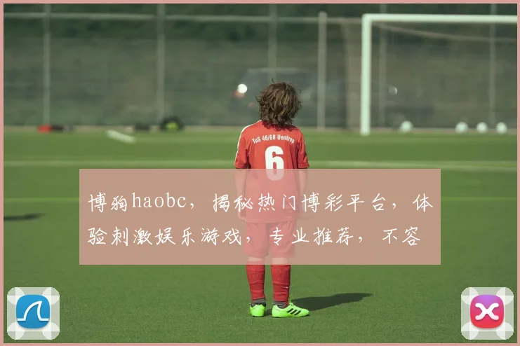 博狗haobc，揭秘热门博彩平台，体验刺激娱乐游戏，专业推荐，不容错过